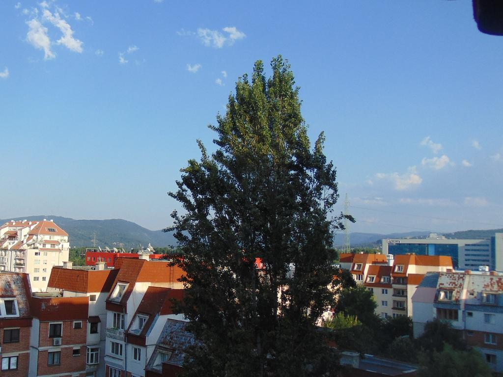 Business Park *