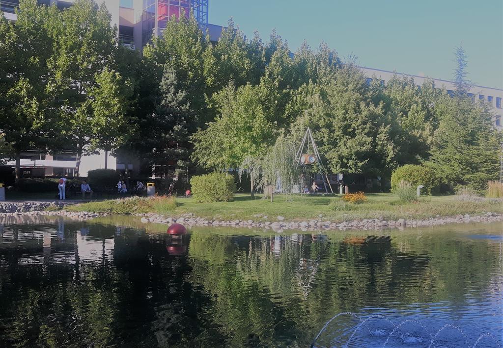 Apartament Business Park *